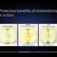 CnEProtectiveBenefits