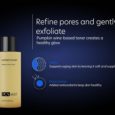 NutrientTonerRefinePores